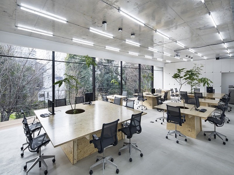 Tận dụng ánh sáng tự nhiên trong thiết kế văn phòng