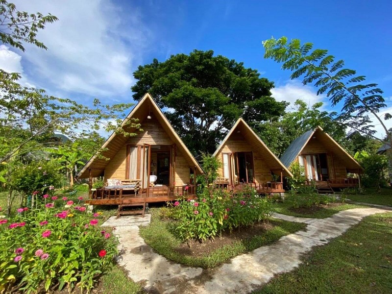 thiết kế farmstay đẹp